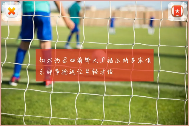 切尔西召回前锋大卫福法纳多家俱乐部争抢这位年轻才俊